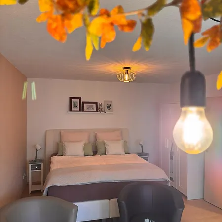Apartament Komfort-apartment Mit Terrasse Estenfeld